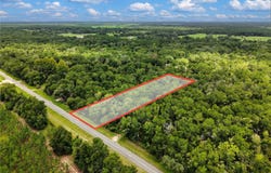 NE 410TH Avenue, OLD TOWN, FL 32680