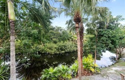 225 Wimbledon Lake Dr, Plantation, FL 33324