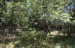 1500 Squirrel Hill Road, Salem, AR 72539