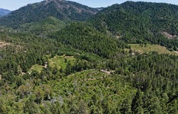 0 Lower Wolf Creek Road, Wolf Creek, OR 97497