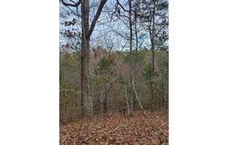 Polk Road 197, Mena, AR 71953