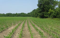 0000 South Co Road 125E, Clay City, IN 47841