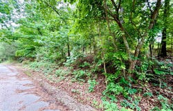 010-05456-000 HWY 5 S, Briarcliff, AR 72653