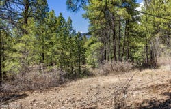 108B E Paseo del Rio, Flagstaff, AZ 86001