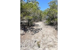 529 Rancho Real, Leakey, TX 78873