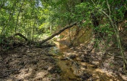 Tbd Red Rock Road, Franklin, TX 77856