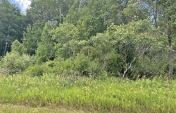 11390 Old Pierce Road, Stanwood, MI 49346