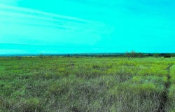 2335 County Road 619, Pottsville, TX 76565