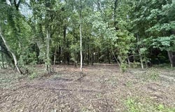Seymour Road, Burt, MI 48417