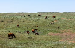 0000 HWY 385, Bonner, NE 69331