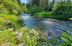 3185 ALADDIN RD, COLVILLE, WA 99114