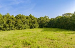 00 Cobbtown Rd, Jay, FL 32565