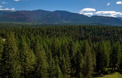 Nhn Aspen Glen Road, Eureka, MT 59917