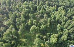 499 Steubenville Road, Coal City, IN 47427