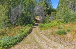 TBD DRY CREEK RD, CHEWELAH, WA 99109