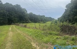 196 County Road 230, Hollywood, AL 35752