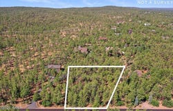 2280 S Bristlecone Drive, Show Low, AZ 85901