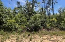 Tamarac Road, Marianna, FL 32448