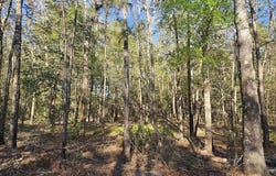 0000 Joe Allen Extension, Kountze, TX 77625