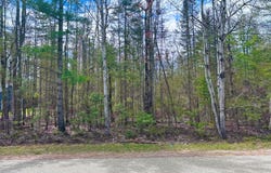 Kauffman Road lot: 241, Presque Isle, MI 49777
