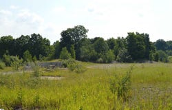 7573 ALDEN HIGHWAY, BELLAIRE, MI 49615