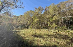 317 Grove Summers Road, New Milton, WV 26411