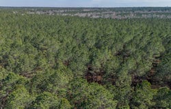 Ben Giddens Road lot: 2, Eastman, GA 31023