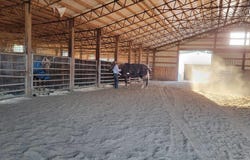 2110 Red Top Hill Road, Buchanan, TN 38222