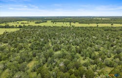 288 Charcoal Road, Waelder, TX 78959