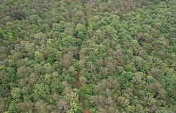 County Road 4679, Tenaha, TX 75974