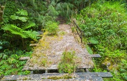 Laupahoehoe, HI 96764