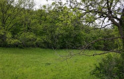 3.53 Acres County Hwy F, Blue Mounds, WI 53517