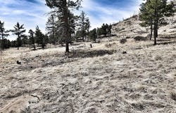 377 Color Sweet Drive, Cotopaxi, CO 81223