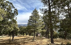 104 Middle Fork lot: 44A, Ruidoso, NM 88345