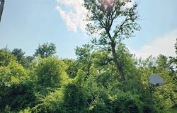 1206 SAWGRASS CIRCLE, STATE COLLEGE, PA 16801
