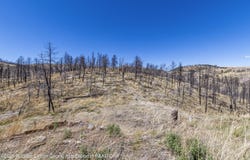 126 Cliffside Road lot: 14, Ruidoso, NM 88345