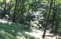 S Highway 170 lot: 2, West Fork, AR 72774