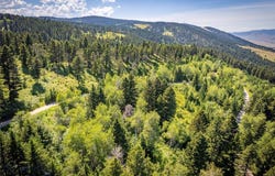Livingston Peak Road, Livingston, MT 59047