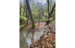Mcbroom Branch Rd, Baxter, TN 38544