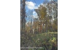 Carson Road, Ancram, NY 12502