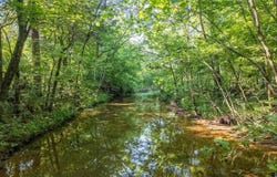 TBD Brown's Creek Road, Ravenden, AR 72459