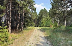 6265 SW Sledders Trail, South Boardman, MI 49680-8622