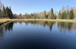 86441 CREAMERY RD, Butternut, WI 54514