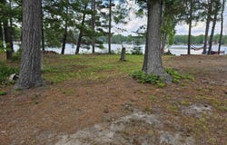 lot 12 Paradise Drive, South Branch, MI 48761