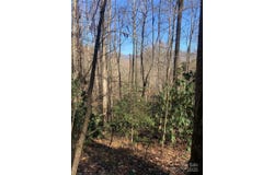 TR 6 Little Bit Trail, Whittier, NC 28789