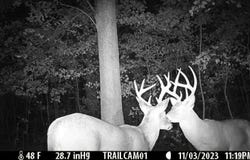 FS 1548 Forest, Pettigrew, AR 72752