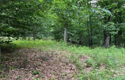 11 W Timber View Trail, Empire, MI 49630