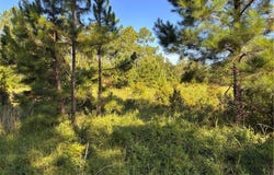 0 Horseshoe Cove, Waverly, GA 31565