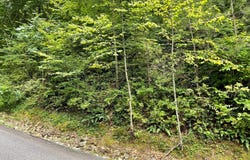 Bear Trail lot: 7, Hiawassee, GA 30546