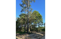 08 Log Cabin Ln, Poplarville, MS 39470